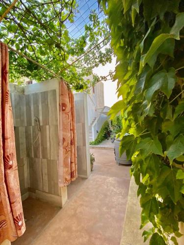 a bathroom with a shower and a door with plants at DaLucia in Torre Vado