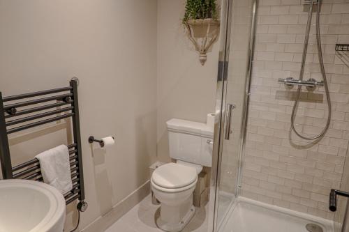 a bathroom with a shower and a toilet and a sink at Bridge End Hotel in Llangollen