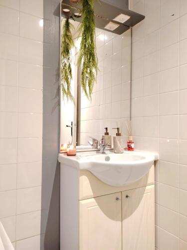 une salle de bain blanche avec un lavabo et un miroir dans l'établissement T2 N7 Appartement Hôtel Combes, à Amélie-les-Bains-Palalda