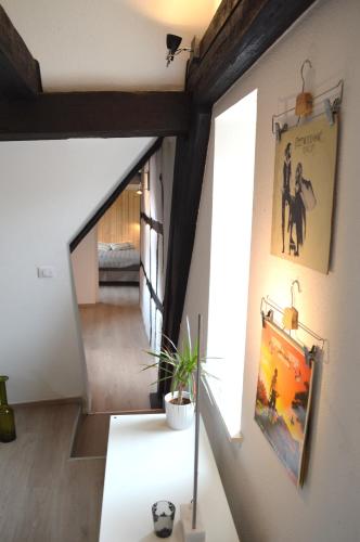 un couloir d'une maison avec un escalier et une plante dans l'établissement Bretzel & Raisin - Centre ville de Colmar, à Colmar