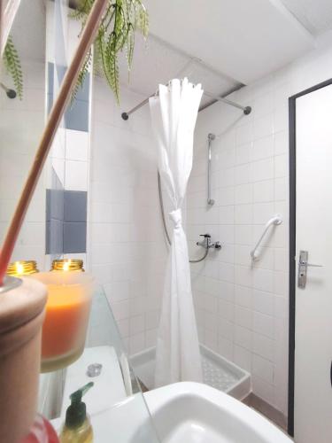 une salle de bain avec un rideau de douche et un lavabo dans l'établissement T3 N8 Appartement Hôtel Combes, à Amélie-les-Bains-Palalda