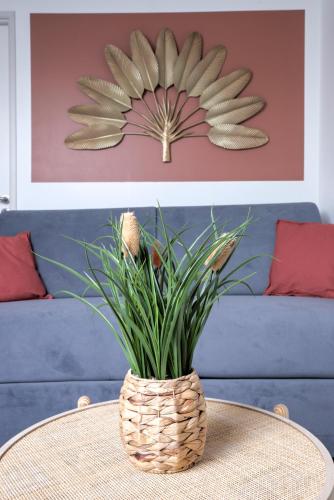 a vase with a plant sitting on a table at L'Estèque - 4 pers- Hyper Centre-WIFI in Bourg-en-Bresse