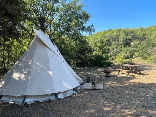 une tente avec un chat assis à côté d'une table de pique-nique dans l'établissement Le tipi Naskapi, à Trans-en-Provence