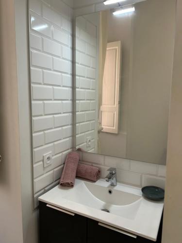 une salle de bain avec un lavabo et un miroir dans l'établissement Le Toulousain 001 - Appartement calme en rez-de-chaussée avec Terrasse - Hypercentre, quartier Jeanne d'Arc, à Toulouse