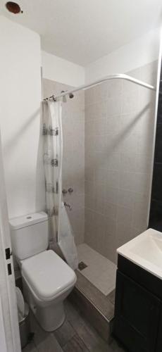 a bathroom with a toilet and a shower and a sink at Depto Arenales in Barrio Esteban Echeverría
