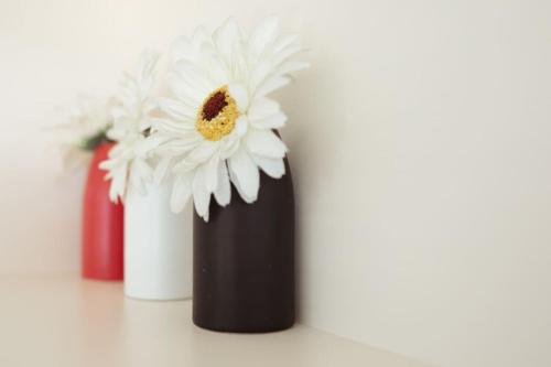 a black vase with a white flower in it at Central Methven 2-Bed Apartment in Methven
