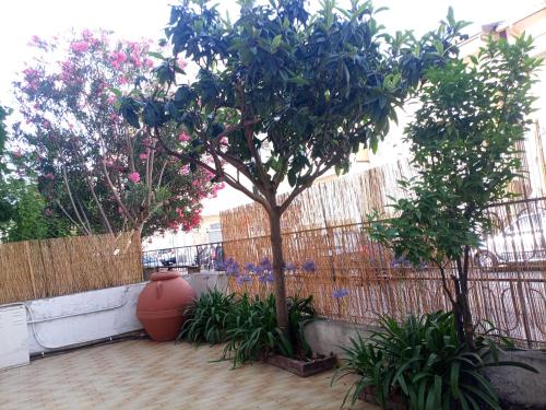 Gallery image of La casa di Anna in Patti