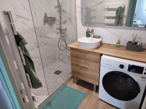 une salle de bain avec douche et machine à laver dans l'établissement Appartement neuf, vue sur parc, 5 minutes à pied du centre historique et piéton, à Pau