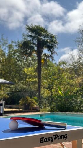 Kolam renang di atau dekat dengan Gîte 8 personnes avec piscine