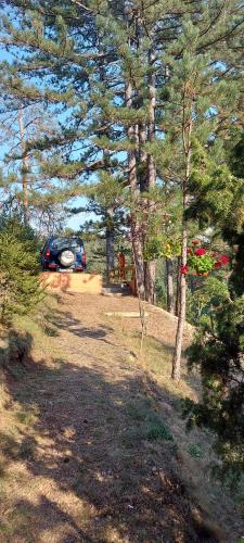 Φωτογραφία από το άλμπουμ του Planinska kuca Lunjo & Vuk στο Ζλάτιμπορ