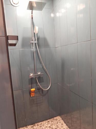 a shower with a hose in a bathroom at Love-Room Spa de la TRUFFIERE in Bertric-Burée