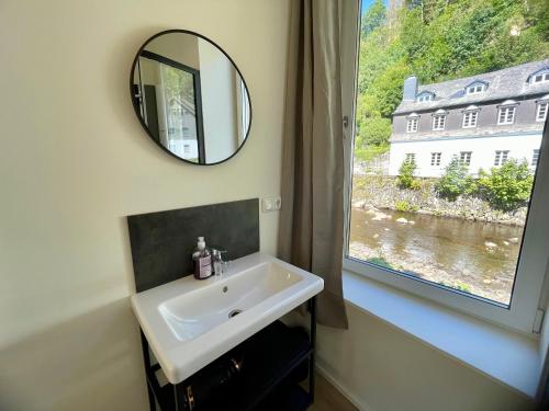 a bathroom with a sink and a mirror and a window at Äuchen am Rosenthal in Monschau