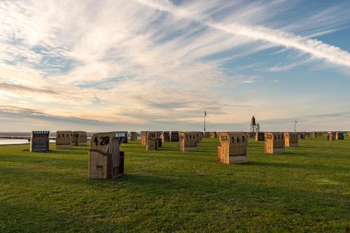 a field with many cardboard boxes in a field at Cuxlandhotel Doppelzimmer 117 in Dorum Neufeld