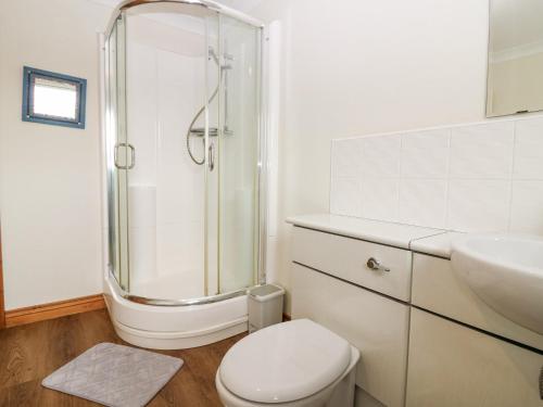 ein Badezimmer mit Dusche, Toilette und Waschbecken in der Unterkunft Hedgehogs Cottage in Glenrothes
