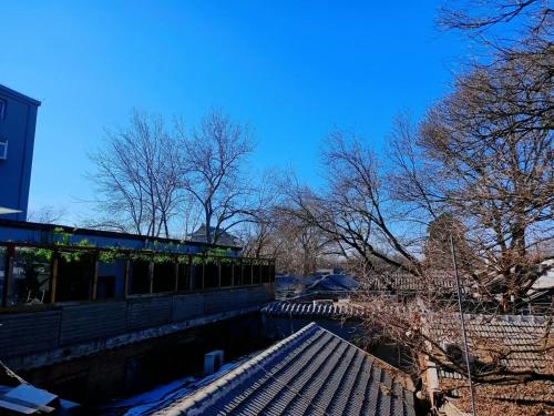 a snow covered roof of a building with trees in the background at Qinfu Hotel Beijing Nanluogu Lane Houhai in Beijing