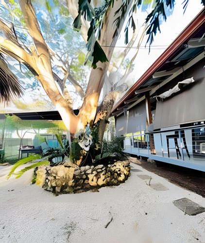 a tree in front of a building at Nirvana Beach Home in Paraíso