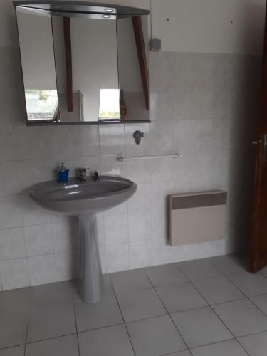 une salle de bain avec un lavabo et un miroir dans l'établissement Appartement prés du Park de champigny sur Marne, à Champigny-sur-Marne