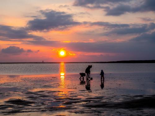 two people and a dog on the beach at sunset at Cuxlandhotel Doppelzimmer 115 in Dorum Neufeld