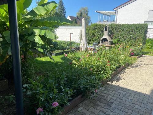 Zahrada ubytování Apisha Apartement 3