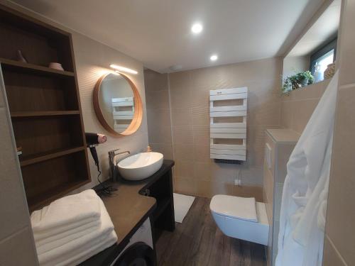 a bathroom with a sink and a toilet and a mirror at Maison L'Impasse, spa extérieur, cheminée et piscine chauffée l'été in Munster