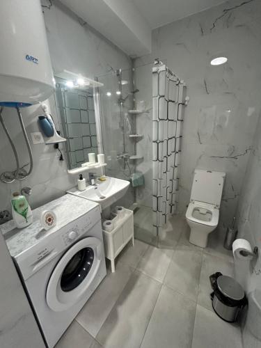 ZlokukjaniにあるLux apartmentsのバスルーム(洗濯機、トイレ付)