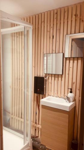 une salle de bain avec un lavabo et un miroir dans l'établissement Appartement duplex avec terrasse, à Grez-sur-Loing
