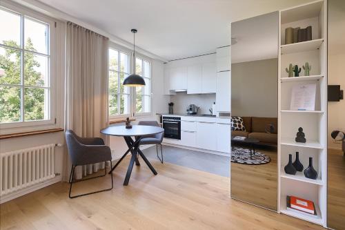 Kuchyň nebo kuchyňský kout v ubytování RIVERSIDE - APARTMENTS BASEL deluxe