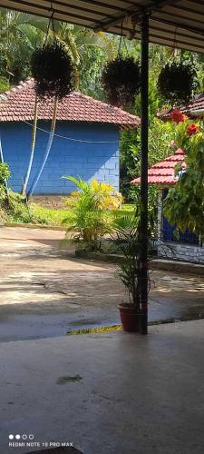 a porch with a blue building and a potted plant at Malnad Mane Homestay in Kalasa