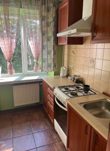 Cuina o zona de cuina de Apartment Oksi