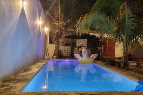 a swimming pool with a toy in the middle at Casa Sótano, con alberca in Las Delicias