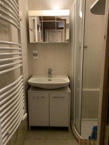 une salle de bain avec un lavabo et une douche dans l'établissement Résidence BruyÈres - Les Hauts De Planchamp - Studio pour 3 Personnes MAE-3349, à Champagny-en-Vanoise