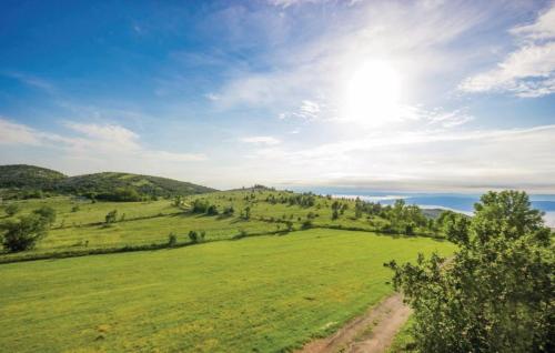 a field of green grass with a dirt road at Villa Mila in Biljevine