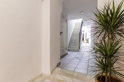 un couloir avec deux plantes en pot et un escalier dans l'établissement AdEva Céntrico 3 Habitaciones, à Jerez de la Frontera