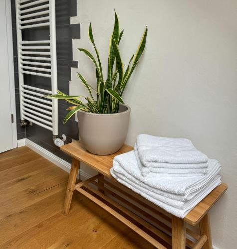 a potted plant sitting on top of a wooden table at Grenzblick in Isselburg-Anholt in Isselburg