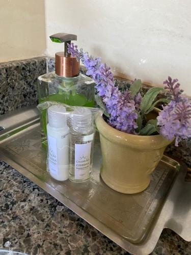 a tray with a plant and a bottle of soap and a flower pot at Casarão Coimbra Pousada Colonial in Pirenópolis