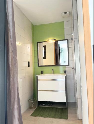 une salle de bain avec un lavabo et un miroir dans l'établissement Villabergerie En Pierre Du Pays, à Barbaggio