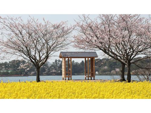 a pavilion in a park with two trees and yellow flowers at COCOLAND - Vacation STAY 73959v in Ube