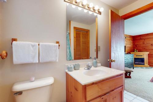 a bathroom with a toilet and a sink and a mirror at Alpine Lodge in Salem