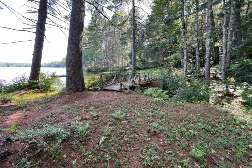 a wooden bench sitting next to a tree next to a lake at Moose & Red Fox Retreat in Denmark