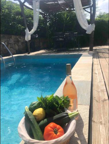 un bol de fruits et légumes à côté d'une piscine dans l'établissement Villa De Charme T3 Saint Florent, à Barbaggio