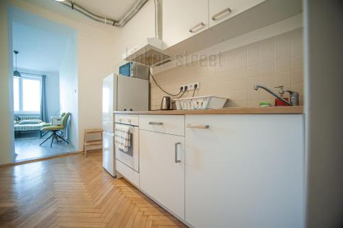 Kuchyň nebo kuchyňský kout v ubytování One bedroom apartment close to Prague castle