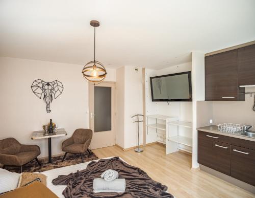 un salon avec un lit et une cuisine dans l'établissement Voltaire Elephant Suite - 5 min Hypercentre - Parking Privé, à Troyes