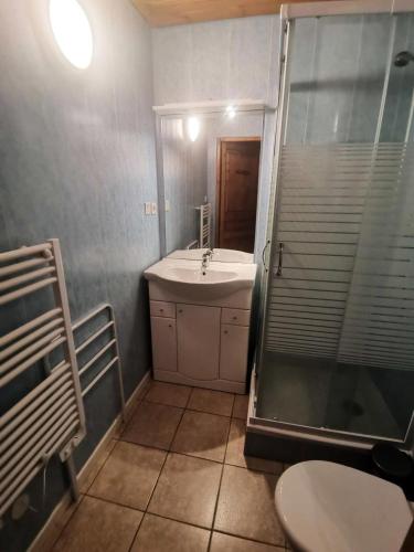 une salle de bain avec toilettes, lavabo et douche dans l'établissement Résidence Joubelle - Magnifique chalet de 6 couchages en duplex JOUB10-3 MAE-8641, à Réallon