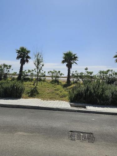 Imagen de la galería de Appart luxueux en vue sur mer, en Hauara
