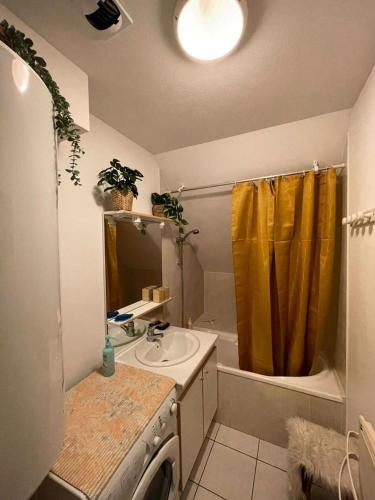 une salle de bain avec un lavabo et une machine à laver dans l'établissement Résidence Chabrieres - Ravissant appartement pour 6 personnes à Réallon CHAB19 MAE-8761, à Réallon