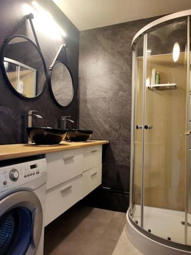 une salle de bain avec un lavabo et une machine à laver dans l'établissement bel appartement rénové et confortable, à Savigny-sur-Orge