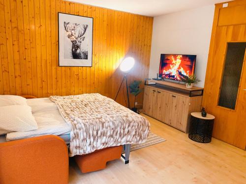 a bedroom with a bed and a television in it at Appartement central Free Parking in Nendaz