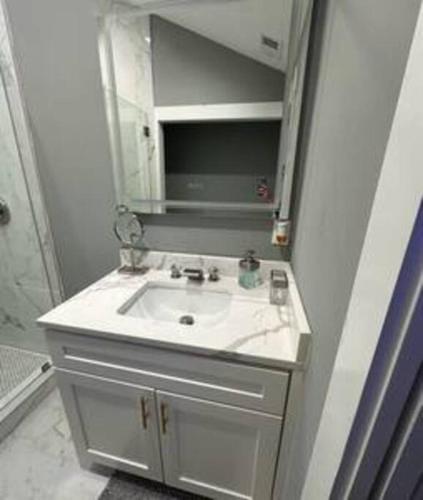 a bathroom with a sink and a mirror at 1895- Peaceful, Cozy Getaway in Atlanta