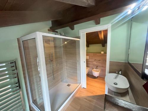 a bathroom with a shower and a sink and a toilet at Casa Ziranu Sa Domo e su Cantaru in Orani
