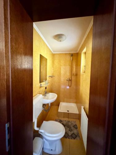 a bathroom with a toilet and a sink at Crăiasa 2 in Moieciu de Sus